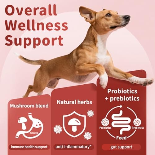 Dog Allergy Chews - Paw Licking, Seasonal Allergy & Itch Relief - Probiotics for Dogs Immune & Gut Health with Turkey Tail Mushroom, Pumpkin - Bacon Flavor - 90 Count view 4