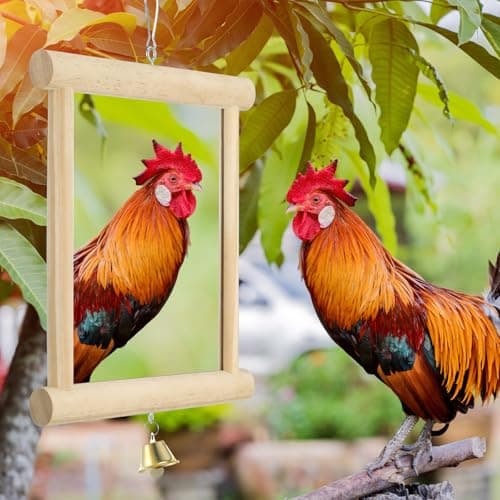 Sadnyy Chicken Mirror Toys Extra Large 10.6 x 10 Inch Big Hanging Swing Mirror with Bell Wooden Pecking Toy for Hens Birds Parrots Coop Roosters (Square, Yellow, 1pcs) view 4
