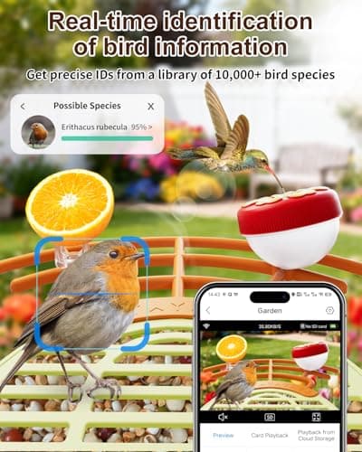 Bird Feeder with Camera, 2K HD Camera Birds Feeder with AI Recognition, Solar Powered Birdfeeder Cam with Night Vision, IP65 Outdoor Backyard Birds Watching, Gift for Bird Lovers – Light Green view 4