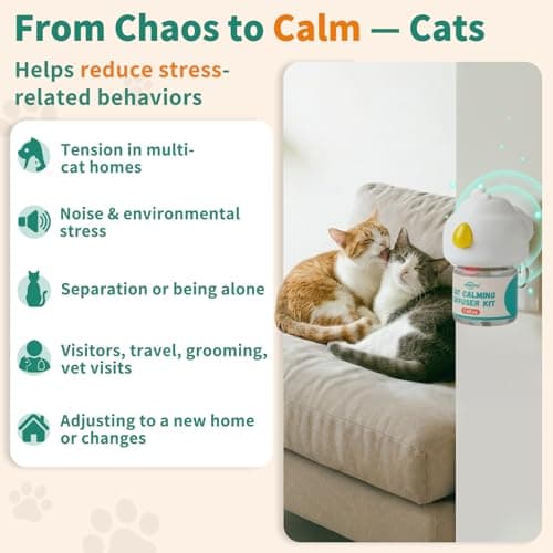 Pawith Cat Calming Diffuser with Pheromones – Cat Pheromone Diffuser for Cats, Helps Reduce Stress, Anxiety, Scratching & Urine Marking, Calming Diffuser for Cats with 2 Refills view 3