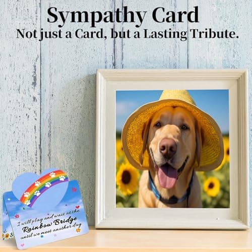 Newmetab Rainbow Bridge Pet Memorial Gifts for Dogs Cats, Loss of Dog Sympathy Gift with Paw Prints Picture Frame KeyChain & Sympathy Card for Pets Lovers(Keychain with Silver Paw) view 7