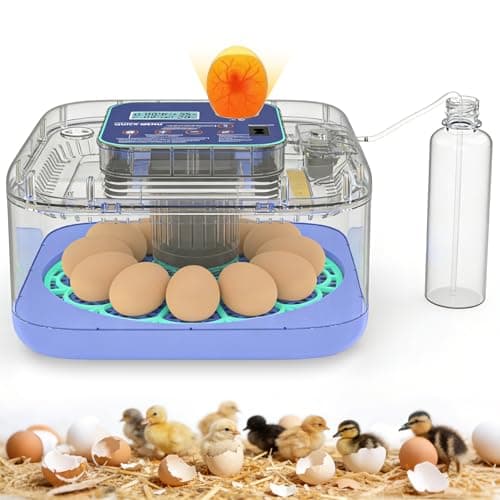 Incubators for Hatching Eggs, 12-24 Egg Digital Incubator with Smart Temperature & Humidity Control, Auto Egg Turner, Egg Candler, Poultry Hatcher for Chicken Eggs, Ducks, Goose, Quail Eggs view 1