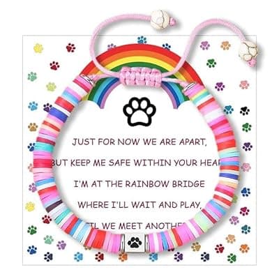 QIRUIMI Pet Memorial Gifts, Rainbow Bridge Bracelet for Beloved Dog Cat, Memorial Bracelet for Women Men Who Lost Pets, Pet Sympathy Gift