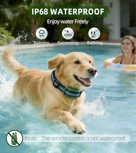 Shock Collar for Dogs, 4200FT Dog Training Collar with Remote for 15-120lbs Small Medium Large Dog, IP68 Waterproof Rechargeable E Collar with 3 Training Modes: Beep, Vibration, Safe Shock（Green） view 4