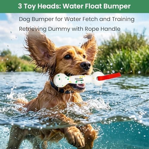 GDuolaPaws Interactive Dog Bungee Tug Toy, 4 Pieces Hanging Spring Pole for Puppy/Small/Medium Dogs, Outdoor Tether Rope for Yard Tree, Indoor Door Pull Toy for Self Play and Solo Exercise view 5