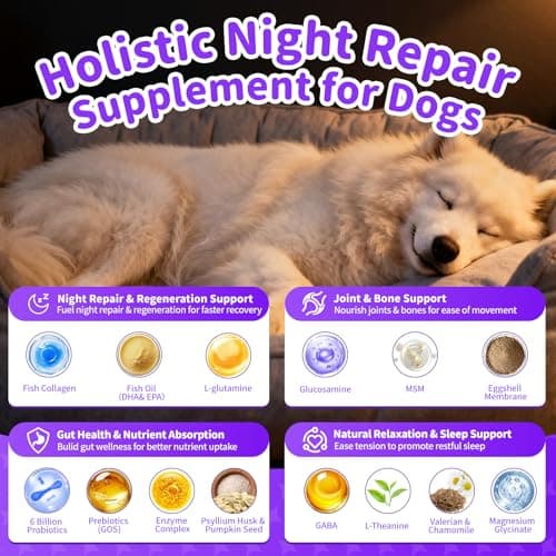 POPPAW Dog Vitamins and Supplements for Nighttime Repair, Calming, Joint, Gut, Dog Multivitamin Powder for Homemade Food with Collagen, Glucosamine, GABA, Probiotics - Chicken Flavor, 75 Scoops view 2
