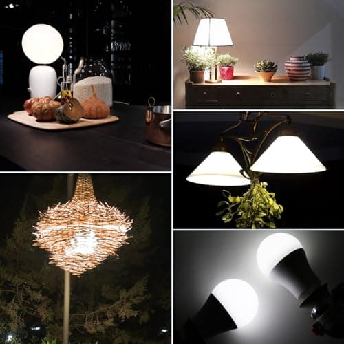 HengBo LED 100 Watts Equivalent Light Bulb, E26 6500K Daylight White LED Bulb, A19 12W Medium Screw Light Bulbs for Kitchen, Living Room Home Lighting view 7
