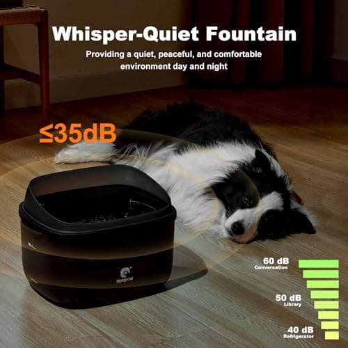 HOLAPAW Dog Water Fountain for Large Dogs, 2.1Gal/8L Dog Water Bowl Dispenser, No Spill Automatic Pet Water Fountain for Dogs Cats Multiple Pets with Ultra Quiet Pump, 3 Filter Replacement, Black view 5