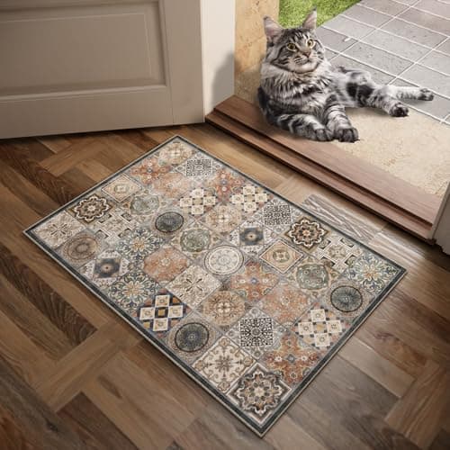 NoiFamo Machine Washable Entryway Small Area Rugs: Soft Non-Slip LowPile Door Mat Indoor Entrance 2x3 ThrowRug for High-Traffic Areas Kitchen, Hallway, Farmhouse Decor view 2