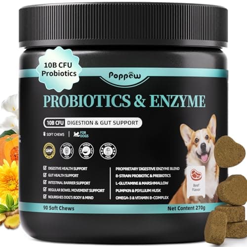 Probiotics for Dogs, Digestive Enzymes & Pumpkin Fiber for Gut Health and Bowel Support, Dog Supplement for Gas Relief & Constipation, 10B CFU with 5 Prebiotics & 5 Enzymes, 90 Count Beef Flavor — image 1