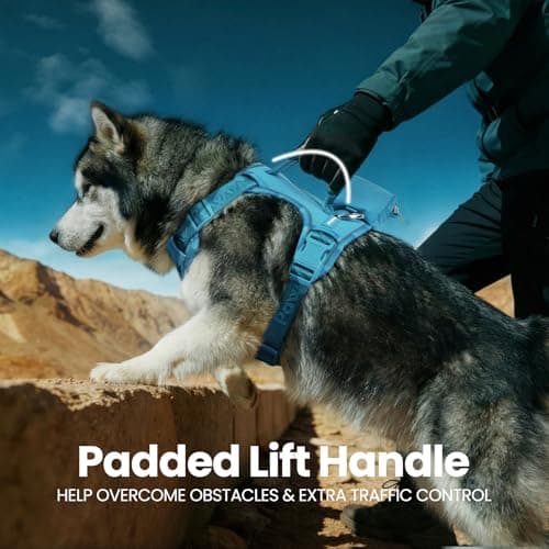 Heavy Duty Outdoor No Pull Dog Harness with Handle, Escape Proof Waterproof Vest, Adjustable Reflective Pet Harness with Front Clip, Detachable Pouch & QR ID Tag for Hiking & Trail Running (XL) view 4
