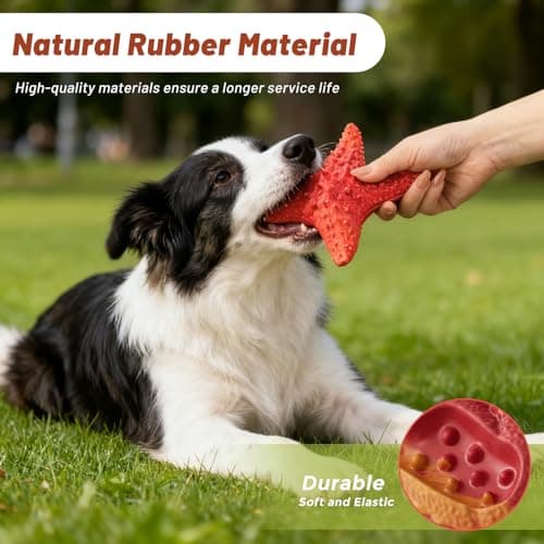 ZOMISIA Dog Chew Toys - Starfish Dog Toys for Small Medium Breeds, Rubber Teething Toys with Bacon Flavor, Pet Toys to Keep Them Busy view 2
