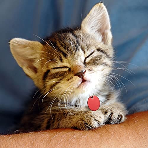 48 Pcs Blank Pet ID Tag Colorful Aluminum Dog Cat Badge Blank Round Heart Star Bone House Rectangle Tags with Ring Pet ID Badge Pendant with Hole for Dog Cat Name Phone Number, 6 Styles view 3