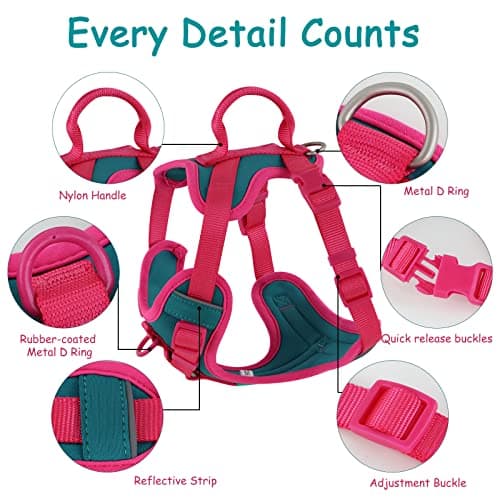 Wolfone No Pull Dog Harness Adjustable Soft Padded Pet Vest with Control Handle Adorable Daily Harness for Dogs（Viridian Green M） view 3