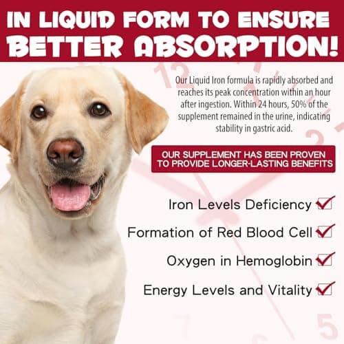Liquid Iron Drops for Dogs,Iron Supplements for Dogs with Folate & Vitamin B12, Promotes Blood Health, Improve Anemia, Low Enery Levels and Lethargy, Caramel Flavor -60ml view 4