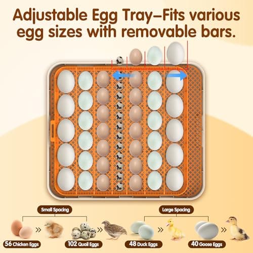 Incubator for Hatching Eggs, 56 Eggs Incubator with Automatic Egg Turning, Temperature & Humidity Control, LED Egg Candler, Incubation Days Display, for Chicken, Duck, Goose, Quail, Parrot Bird Eggs view 5