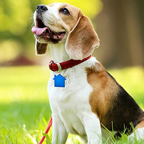 48 Pcs Blank Pet ID Tag Colorful Aluminum Dog Cat Badge Blank Round Heart Star Bone House Rectangle Tags with Ring Pet ID Badge Pendant with Hole for Dog Cat Name Phone Number, 6 Styles view 6