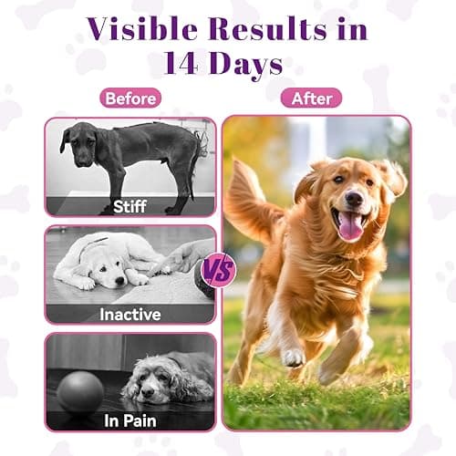 Glucosamine for Dogs Hip and Joint Support - Dog Joint Supplement with Chondroitin, MSM, Turmeric & Omega 3 - Relief for Joint Pain & Inflammation - Mobility & Flexibility - 150 Soft Chews, Chicken view 5