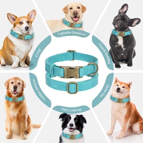 Jumpress Soft Leather Dog Collar for Small Medium Large Dogs, Heavy Duty Dog Collar Leather with Quick Release Metal Buckle, Durable & Adjustable for Large Dogs Walking (Teal Blue, L) view 3