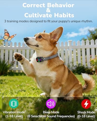 Canivix Dog Shock Collar with Remote Control, 3300FT Dog Training Collar with Beep/Vibration/Shock, Security Lock, IPX8 Waterproof Ecollar Rechargeable for Medium Large Dogs view 2