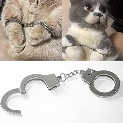 ZB.soar Funny Cat Handcuffs, Key Buckle,Stainless Steel Pet Toy Handcuffs, Mini Pet Handcuff Suitable for Most Small Pets,Increase The Relationship with Your Pets (Metal)