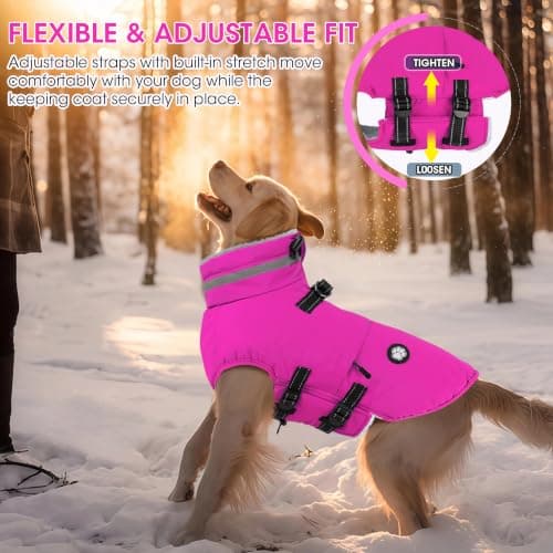 Dogcheer Waterproof Dog Coat with Harness, Adjustable Dog Jacket with Pockets view 6