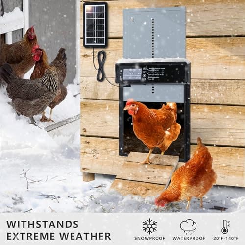 Automatic Chicken Coop Door Solar Powered, LCD Screen Electric Chicken Coop Door with Timer & Light Sensor, 4 Modes Solar Chicken Coop Door, Anti-Pinch & Door Pry Warning Coop Door with Remote Control view 4