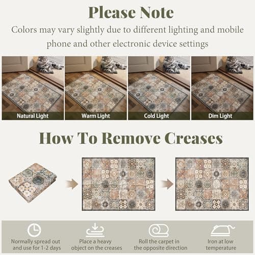 NoiFamo Machine Washable Entryway Small Area Rugs: Soft Non-Slip LowPile Door Mat Indoor Entrance 2x3 ThrowRug for High-Traffic Areas Kitchen, Hallway, Farmhouse Decor view 4