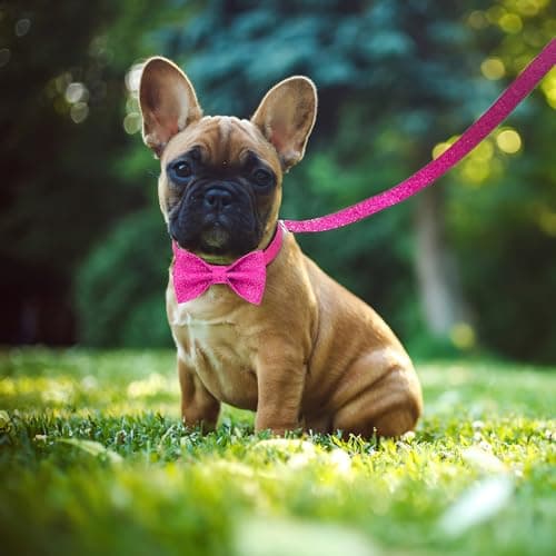 Jumpress Bling Bow Tie Dog Collar and Leash Set, Cute Pink Girl Dog Collar with 5ft Leash for Small Medium Dogs Daily Walking or Holiday Party (Hot Pink, Neck fit 11-16’’) view 4