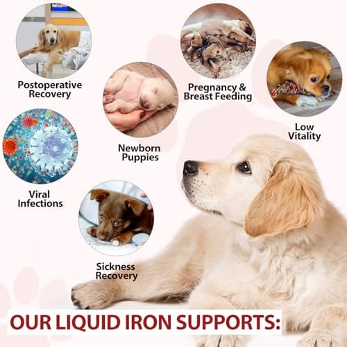 Liquid Iron Drops for Dogs,Iron Supplements for Dogs with Folate & Vitamin B12, Promotes Blood Health, Improve Anemia, Low Enery Levels and Lethargy, Caramel Flavor -60ml view 6