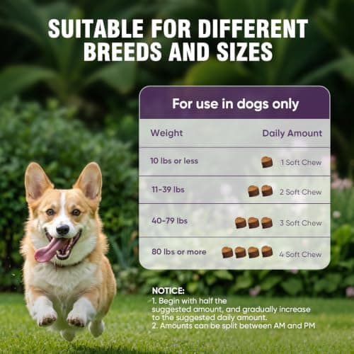 Hip and Joint Supplement for Dogs 200ct, Glucosamine Chondroitin for Dogs | Hip & Joint Care, Soft Chews, Dog Arthritis Pain Supplement, Mobility Treats for Small/Medium/Large Dog MSM for Dogs, Chicken view 3