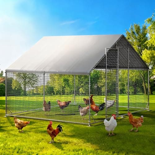 Large Walk-in Chicken Coop with Chicken Run, Galvanized Poultry Enclosure with Waterproof Anti-UV Cover and Security Lock, Ideal for Rabbit, Duck, Backyard and Farm Yard，9.8'x 6.6'x 6.6' view 1