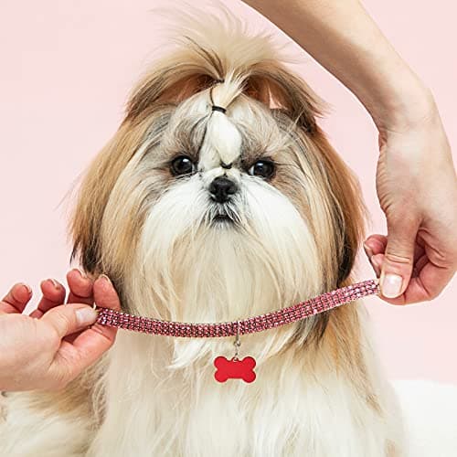 48 Pcs Blank Pet ID Tag Colorful Aluminum Dog Cat Badge Blank Round Heart Star Bone House Rectangle Tags with Ring Pet ID Badge Pendant with Hole for Dog Cat Name Phone Number, 6 Styles view 4