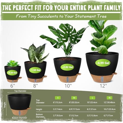 Goproauto Self-Watering Pots for Indoor Plants 4 Pack, 6/8/10/12 Inch Outdoor Planters with Water Level Indicator & Deep Reservoir, Decorative Flower Pots for Home Decor (Black, 12+10+8+6 Inch) view 2