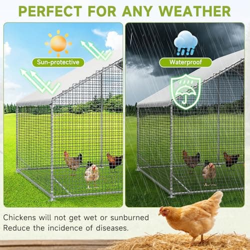 Large Walk-in Chicken Coop with Chicken Run, Galvanized Poultry Enclosure with Waterproof Anti-UV Cover and Security Lock, Ideal for Rabbit, Duck, Backyard and Farm Yard，9.8'x 6.6'x 6.6' view 5