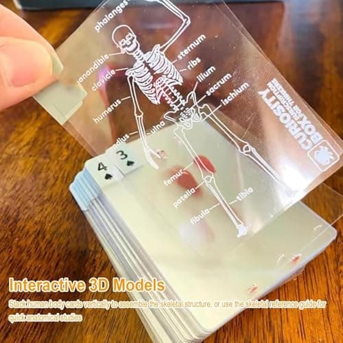 AKLOZYX The Body Deck Transparent Anatomy Playing Cards, 3D Skeleton Design, Educational Card Game, 54 Cards (1 Pack) view 4