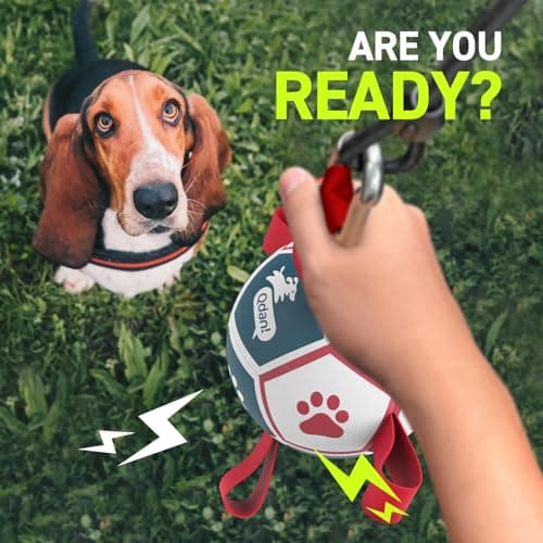 QDAN Dog Toys with Bell Inside, Durable Dog Balls for Tug of War, Outdoor Dog Toys, Squeaky Ball Toy (Blue, 5 inch) view 2