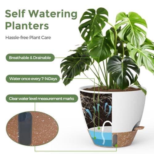 Plant Pots, 12" 10" 6" 8" Inch Self Watering Pots with Water Level Indicator, Set of 5 Flower Pots Indoor with Drainage Holes, Modern Planters for Indoor Outdoor Plants, Room & Office Décor view 3
