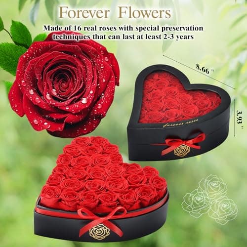 HERBMOTG 27 Forever Real Roses in Heart-Shaped Box with a Curved Design, Grade A Quality-Preserved Roses for Birthday, Mothers Day & Valentines Day (Red) view 3