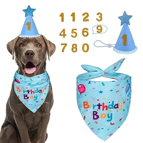 Dog Birthday Party Supplies,Dog Birthday Bandana,Dog Birthday Hat — image 1
