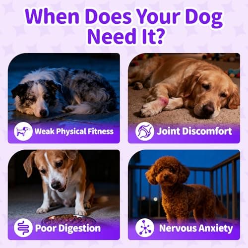 POPPAW Dog Vitamins and Supplements for Nighttime Repair, Calming, Joint, Gut, Dog Multivitamin Powder for Homemade Food with Collagen, Glucosamine, GABA, Probiotics - Chicken Flavor, 75 Scoops view 6