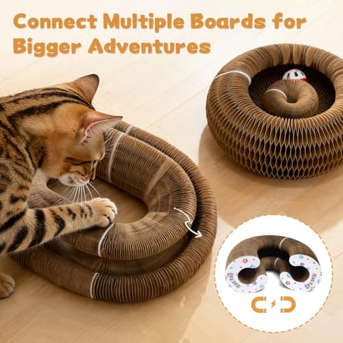PETSWEET Magic Organ Cat Scratcher Cardboard, Interactive Scratch Cat Toy with Bell Ball, Foldable Scratching Board, Corrugated Cardboard Scratch Pad for Indoor Cats, Round(1PCS) view 6