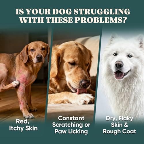 Dog Allergy Chews Omega 3,Itch Relief Multivitamin Medicine for Dogs Itching Skin Relief and Aller Immune Pet Allergy Dog Anti Itch Chews Pills Meds Medicine for Dogs Chicken Flavor view 6