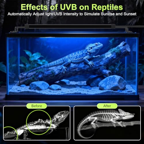 Hygger Zoo 16W LED UVB Light for Reptiles Terrarium Light Extendable Reptile Tank Light with Controller ＆Dimming and 5 UVI Modes Full Spectrum Brilliant White Blue Red Lights for Bearded Dragon, Gecko view 3