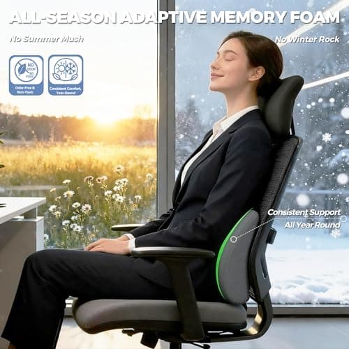 MXPOLY Lumbar Support Pillow for Office Chair & Car Seat - Temperature Stable Memory Foam for Lower Back Pain Relief, Non-Slip Back Cushion with Dual Straps for Desk Workers & Drivers (Grey) view 2
