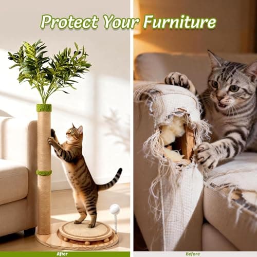 Catails 39" Tall Cat Scratching Post, Cute Olive Cat Scratcher, Interactive Cat Toys with Ball Track & Spring Ball, Sturdy Cat Scratch Post with Pad for Indoor Cats Adults and Kittens view 6