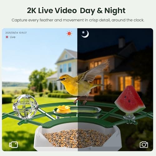 TECKNET Smart Bird Feeder with Camera, 2K UHD Video, AI Bird Species Identification, Instant Arrival Alerts, Solar Powered, Waterproof Birdhouse Camera, Gift for BirdLovers, Family, Green view 2