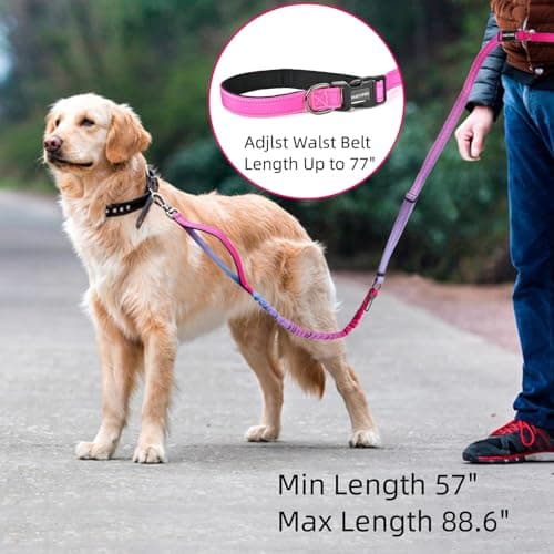 Hands-Free Zipper Pouch Dog Leash 4-6 Foot Elastic Waist Belt Leash Suitable for Medium to Large Dogs Double-Layer Cushioned Handle Car Seatbelt-Style Buckle Dual-Purpose for Training and Jogging view 3