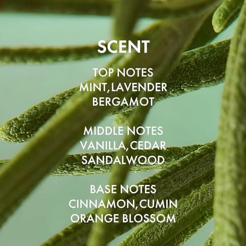 ALFHEIM Rosemary+ Purifying Shampoo & Conditioner Set Travel Size – Balancing Care for Oily & Fine Hair with Rosemary, Peppermint & Jojoba Oils – Deep Cleanse, Lightweight Hydration, Sulfate Free view 6