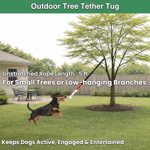 GDuolaPaws Interactive Dog Bungee Tug Toy, 4 Pieces Hanging Spring Pole for Puppy/Small/Medium Dogs, Outdoor Tether Rope for Yard Tree, Indoor Door Pull Toy for Self Play and Solo Exercise view 3